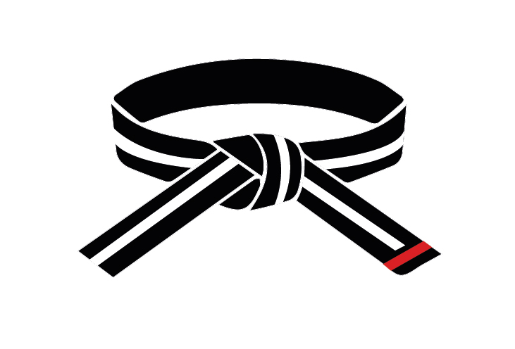 Silver Stripe — National Leader
