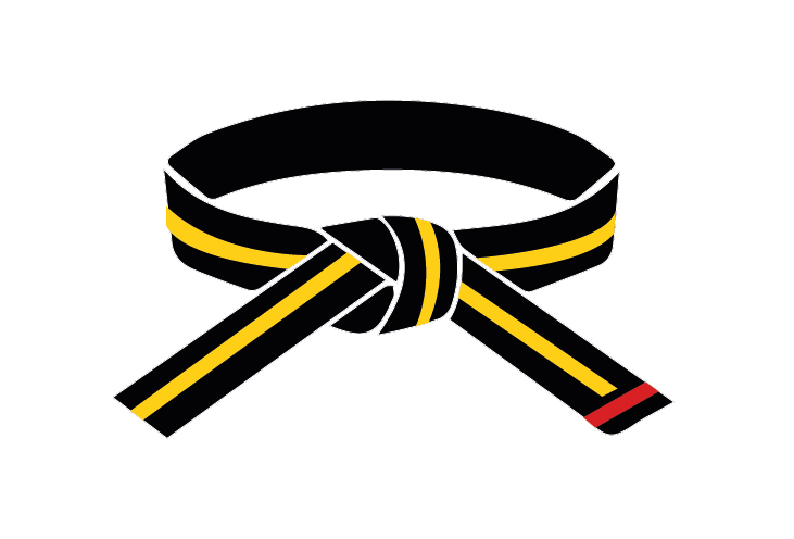 GOLD Stripe — World Board of Directors